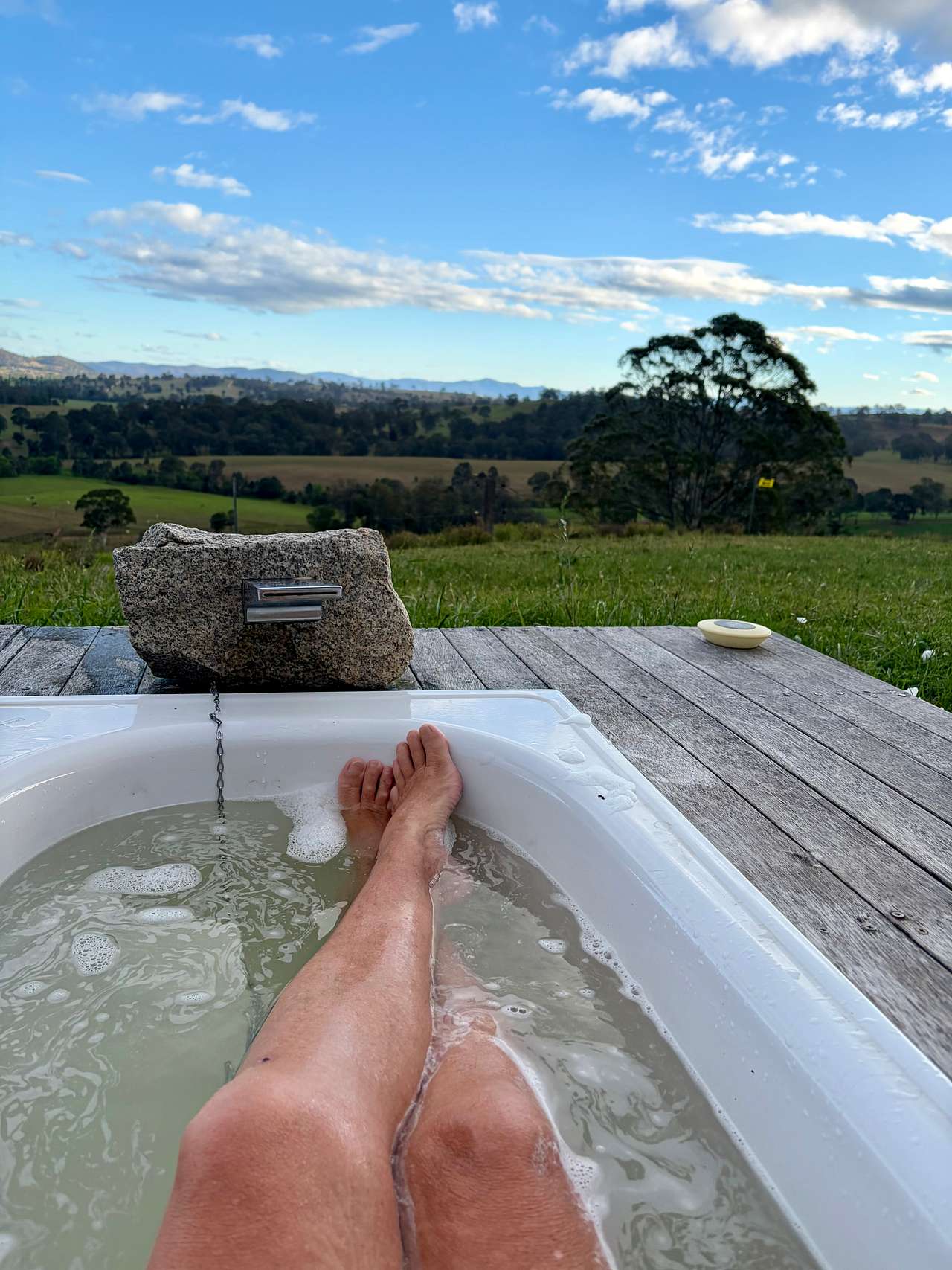 Sapphire Coast Dairy-Homestead