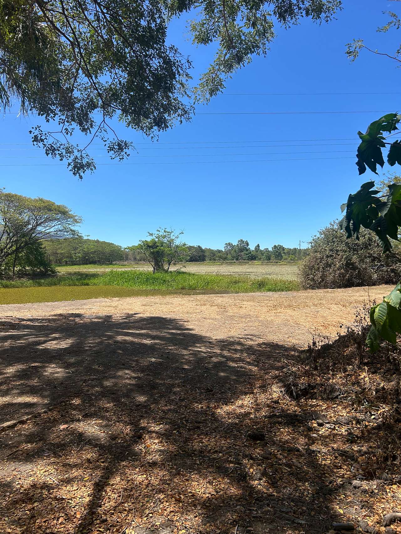 Mount Surround Campground