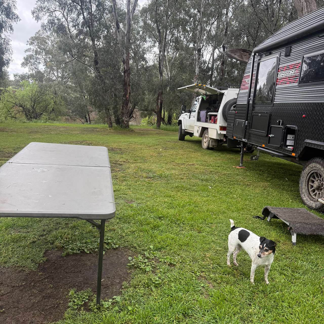 Palm Cove On The Murrumbidgee