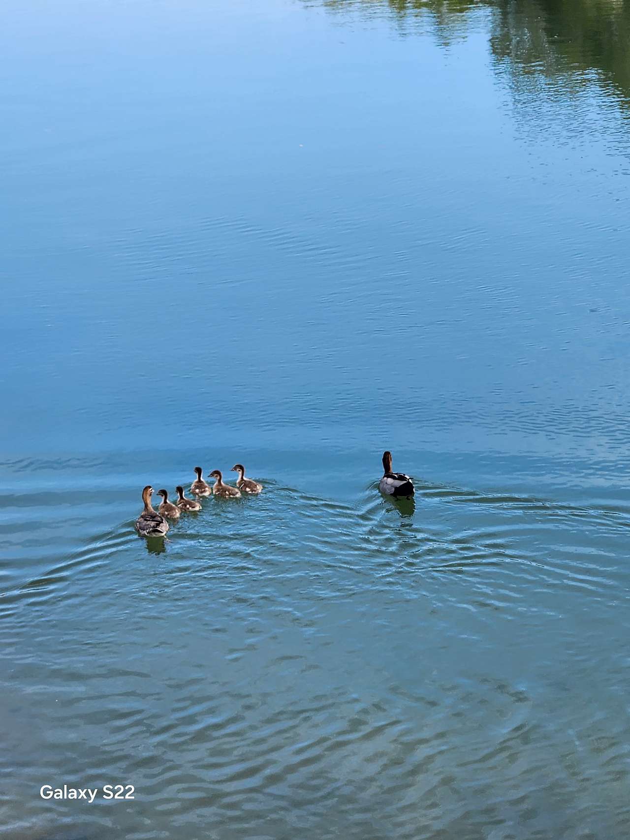 Anchorage Park Urunga