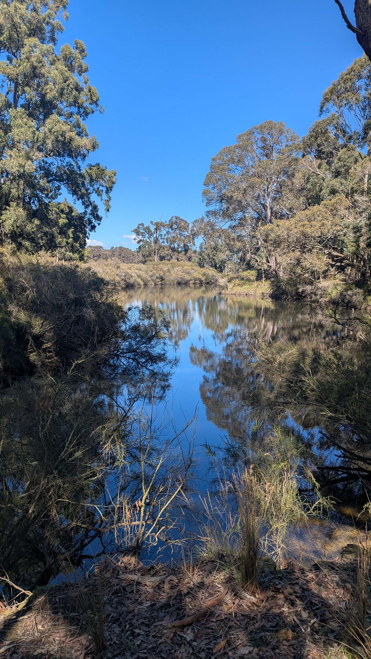 Short walk to the river