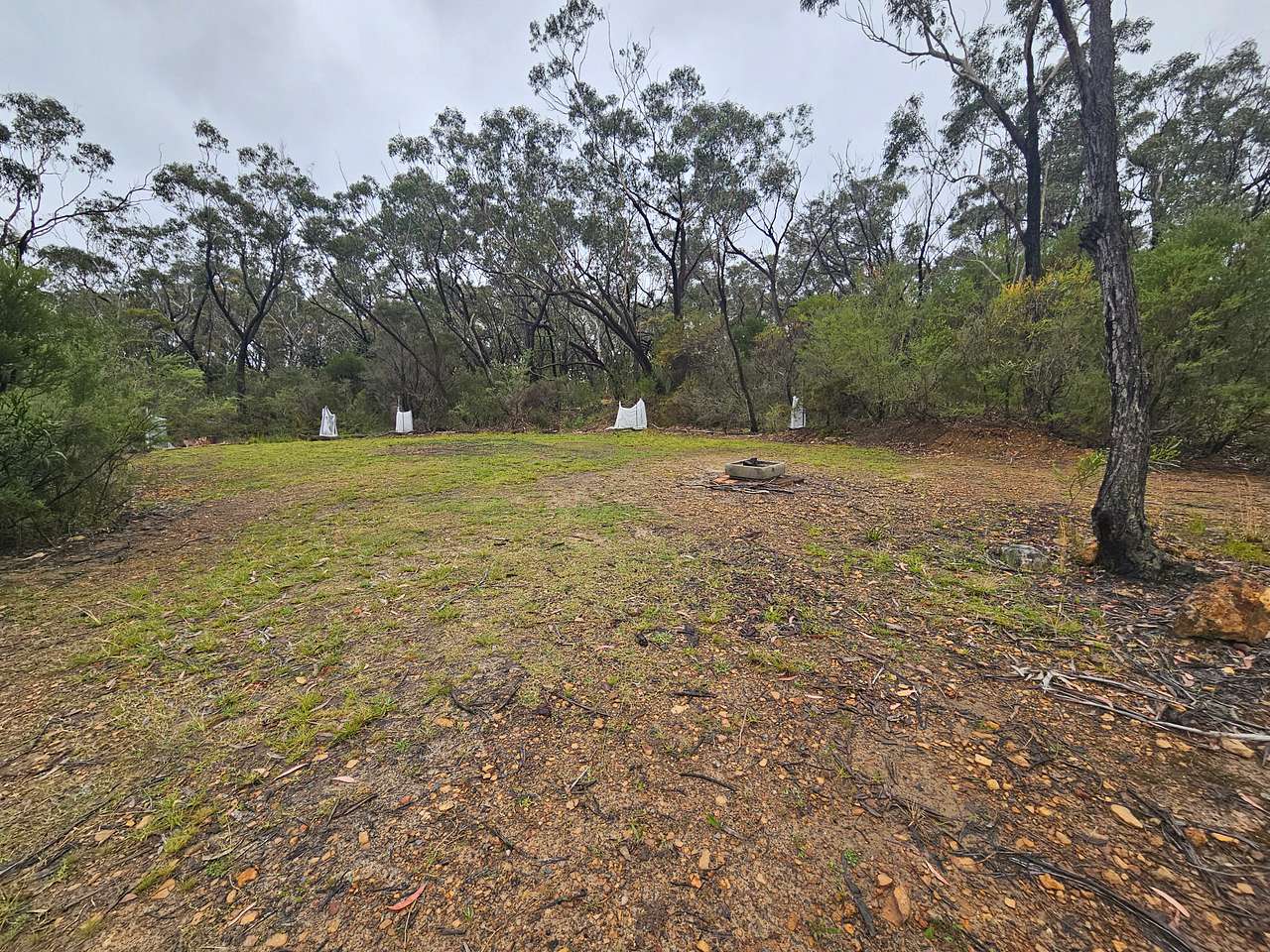 Camp Site