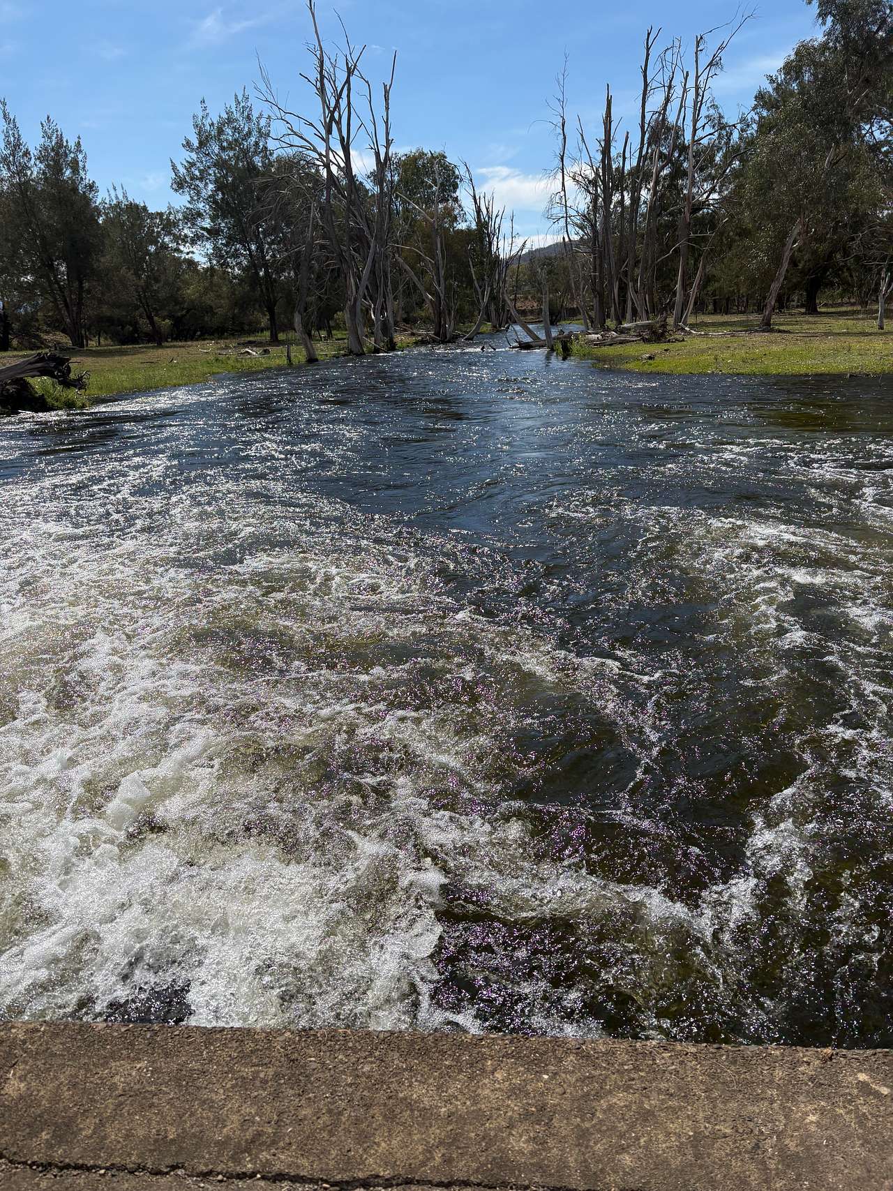 ‘Riversdale’