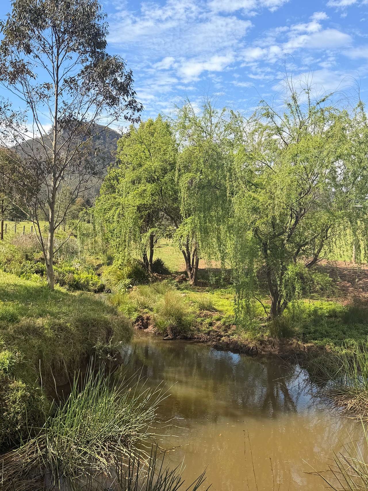 Pretty little flowing creek 