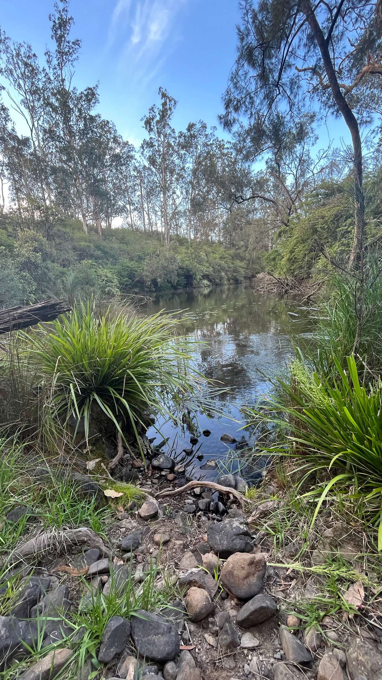 Bowrunga
