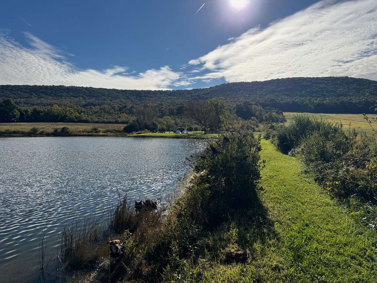 View from the far side of the pond