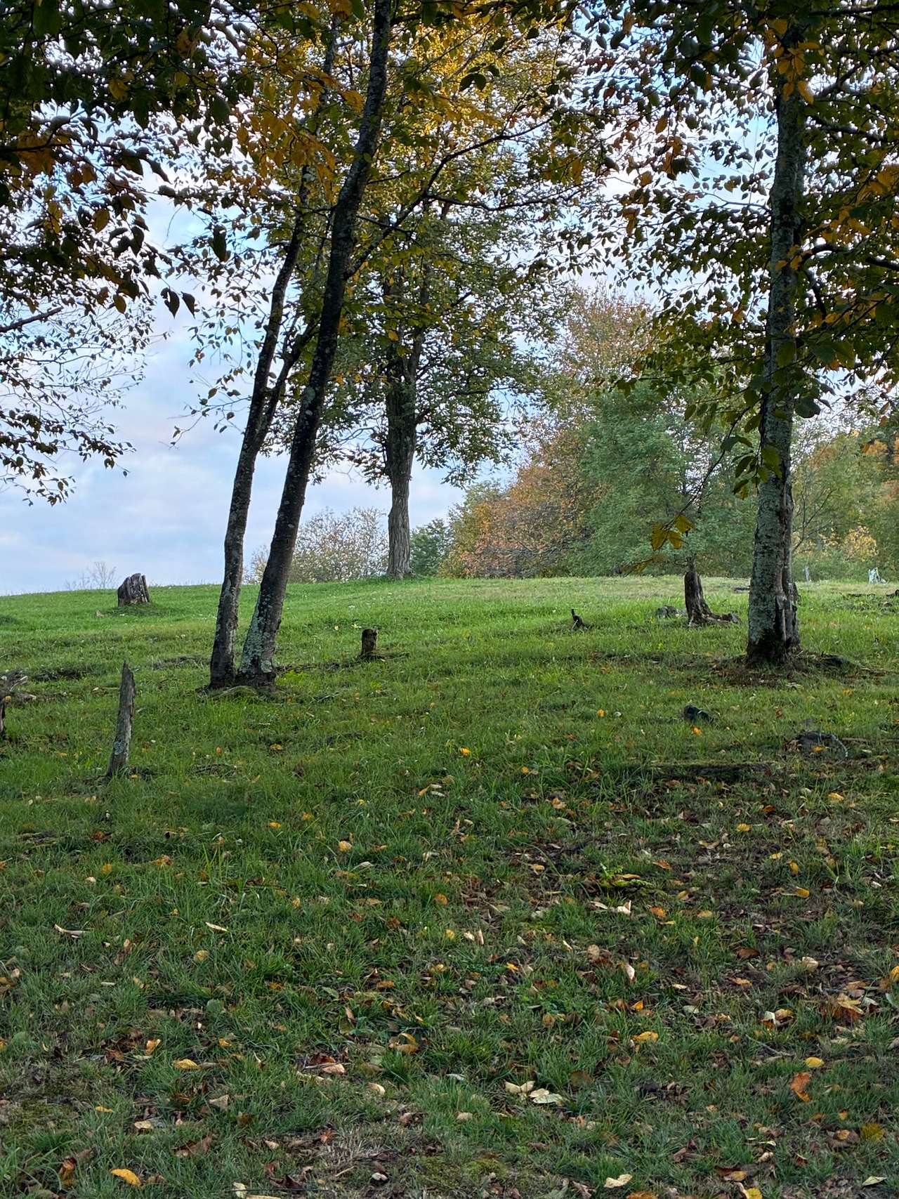 The Oasis at Bear Run Farms
