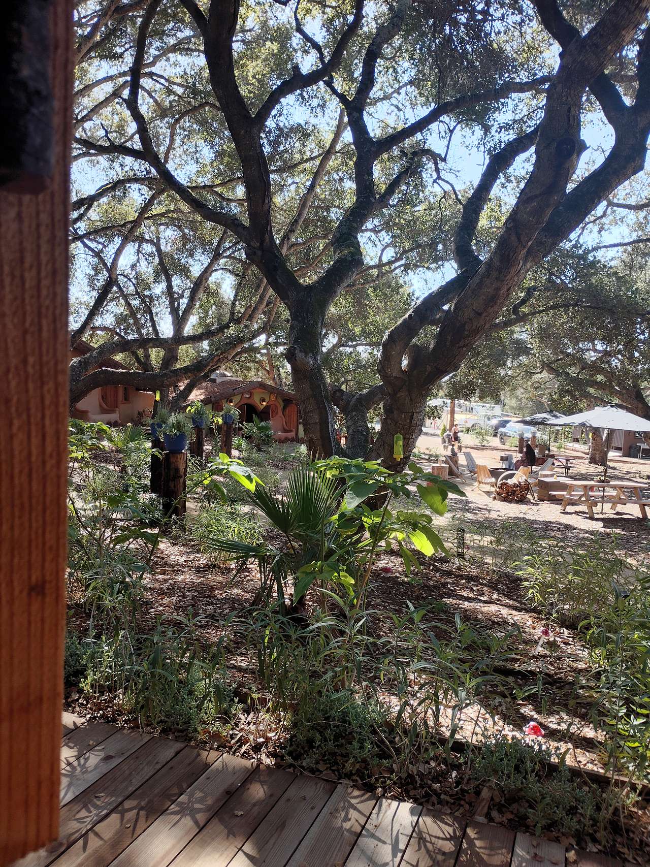 Drinking my coffee out looking the courtyard.