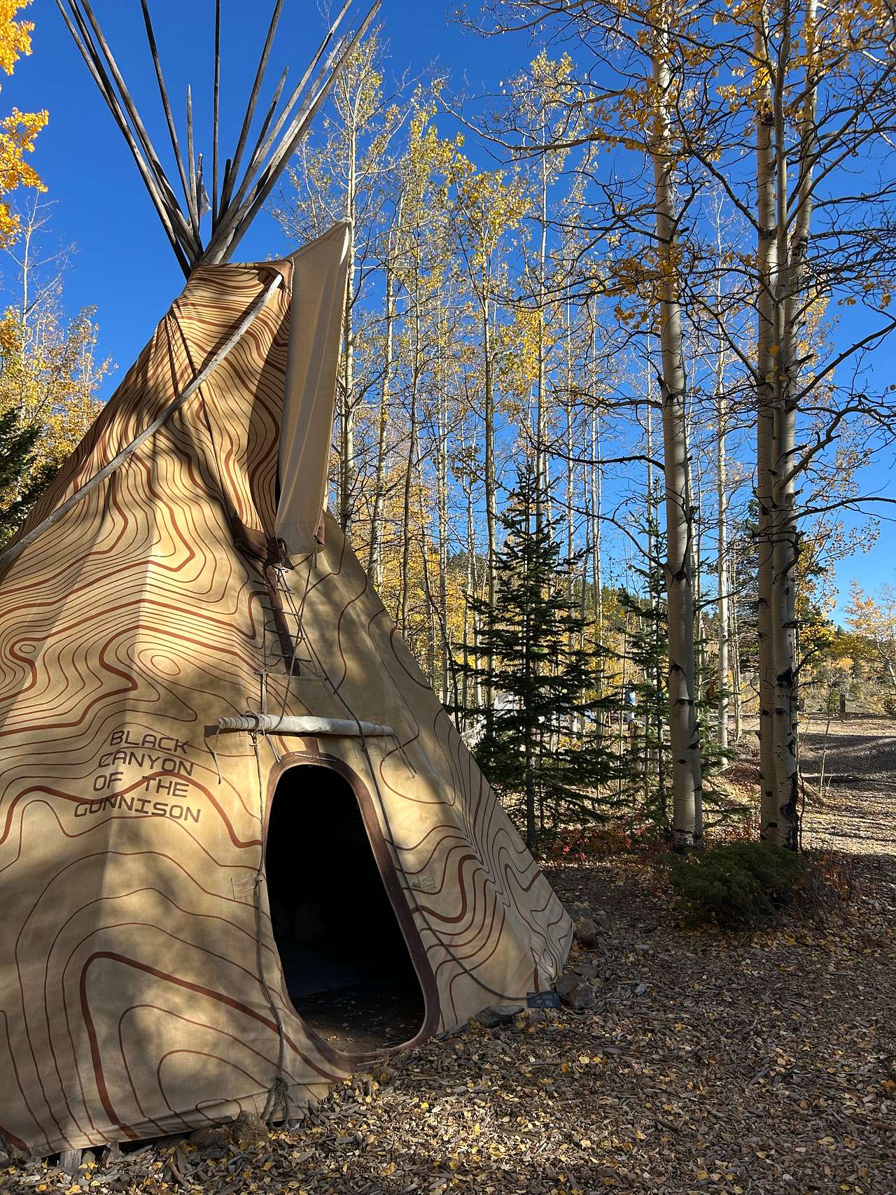 Camp Always Choose Adventures