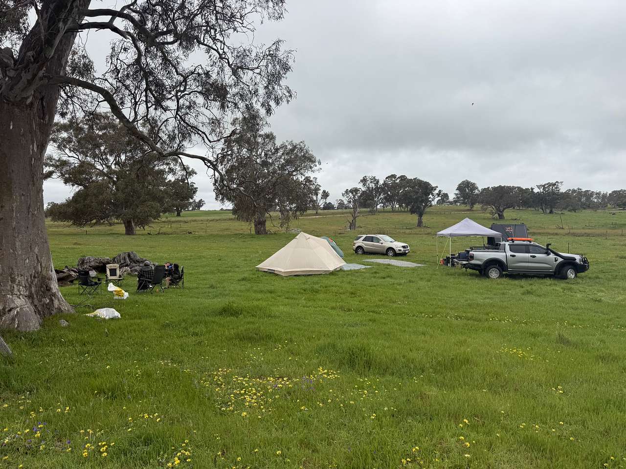 The Valley of Eden - Barossa