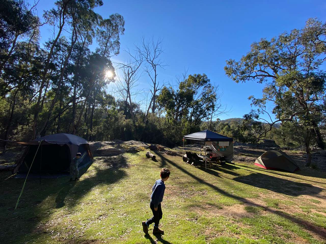 The Wollemi Art Farm