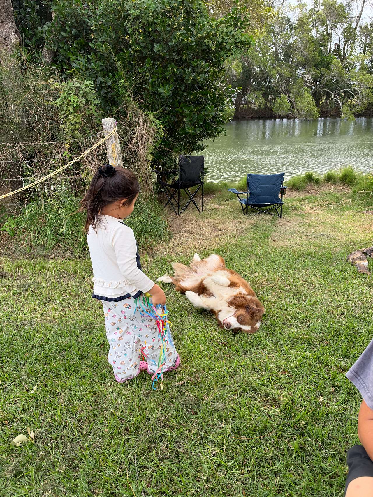 South West Rocks Farm Camp