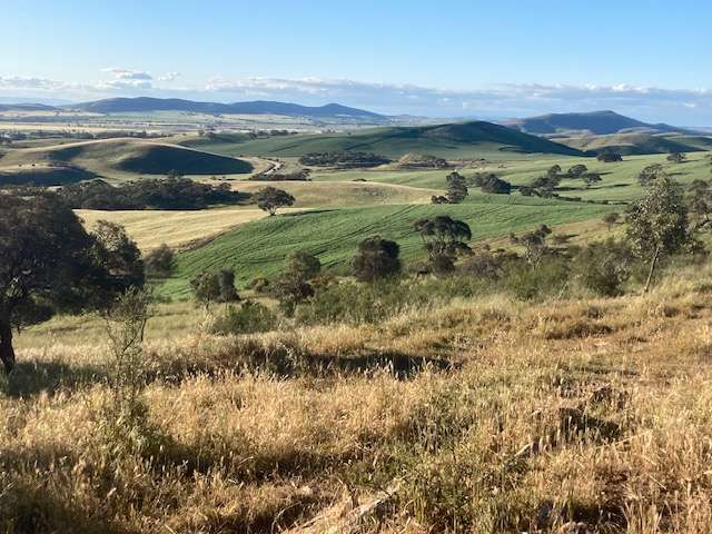 Heggies Hill Bush Camp