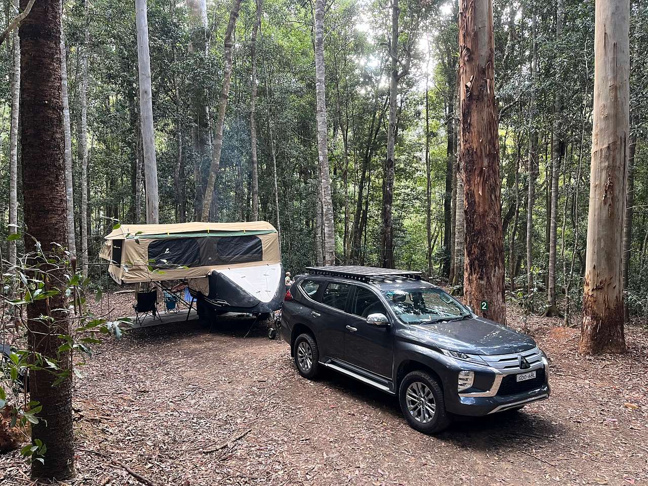 Frog Hollow Rainforest Camping
