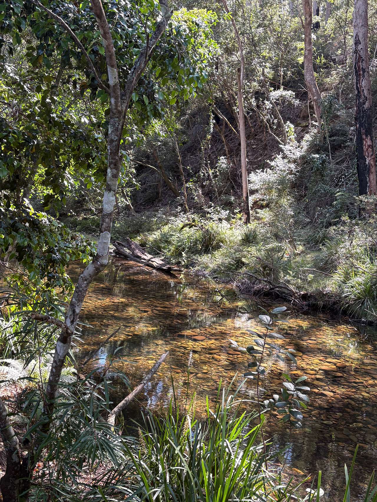 Riverdell Campgrounds