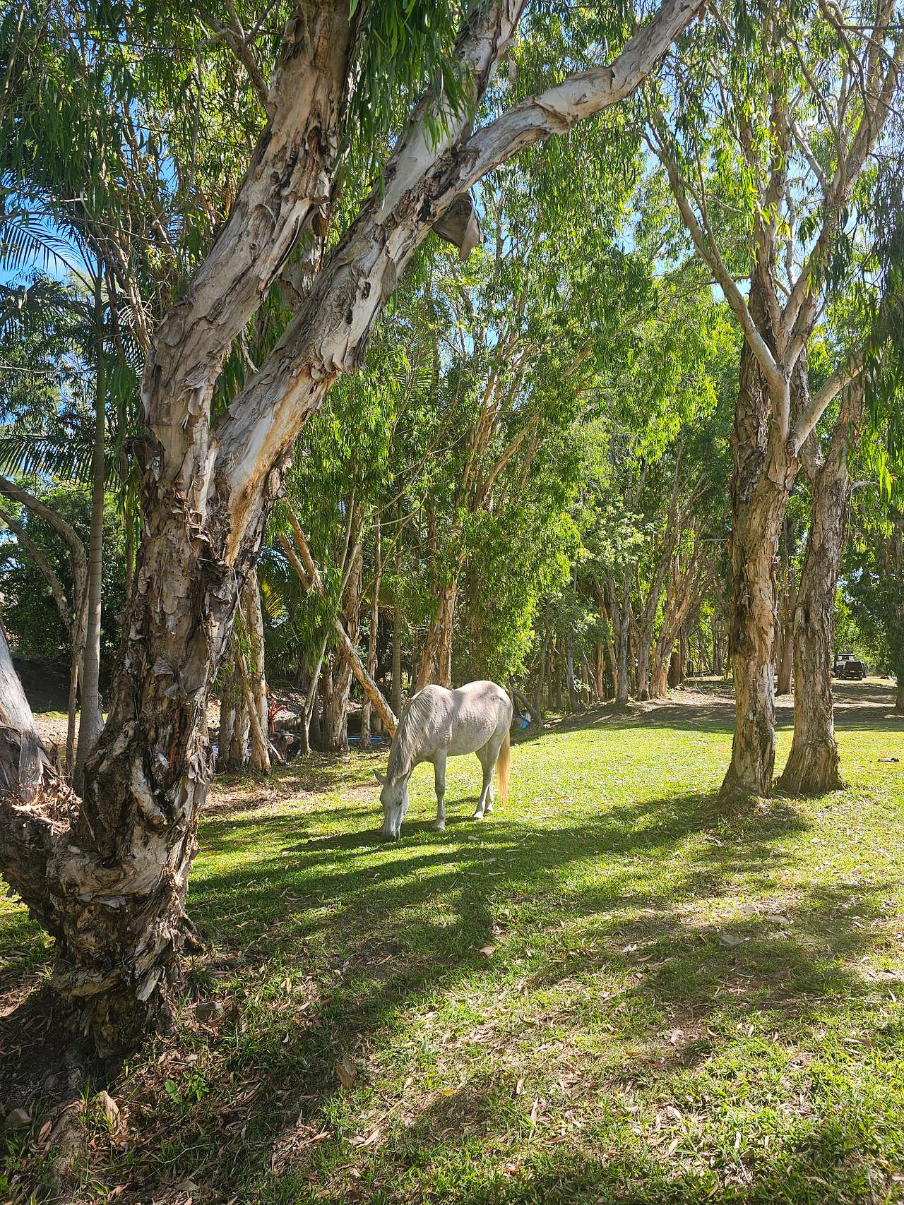 Ilbilbie Station Farm Stay