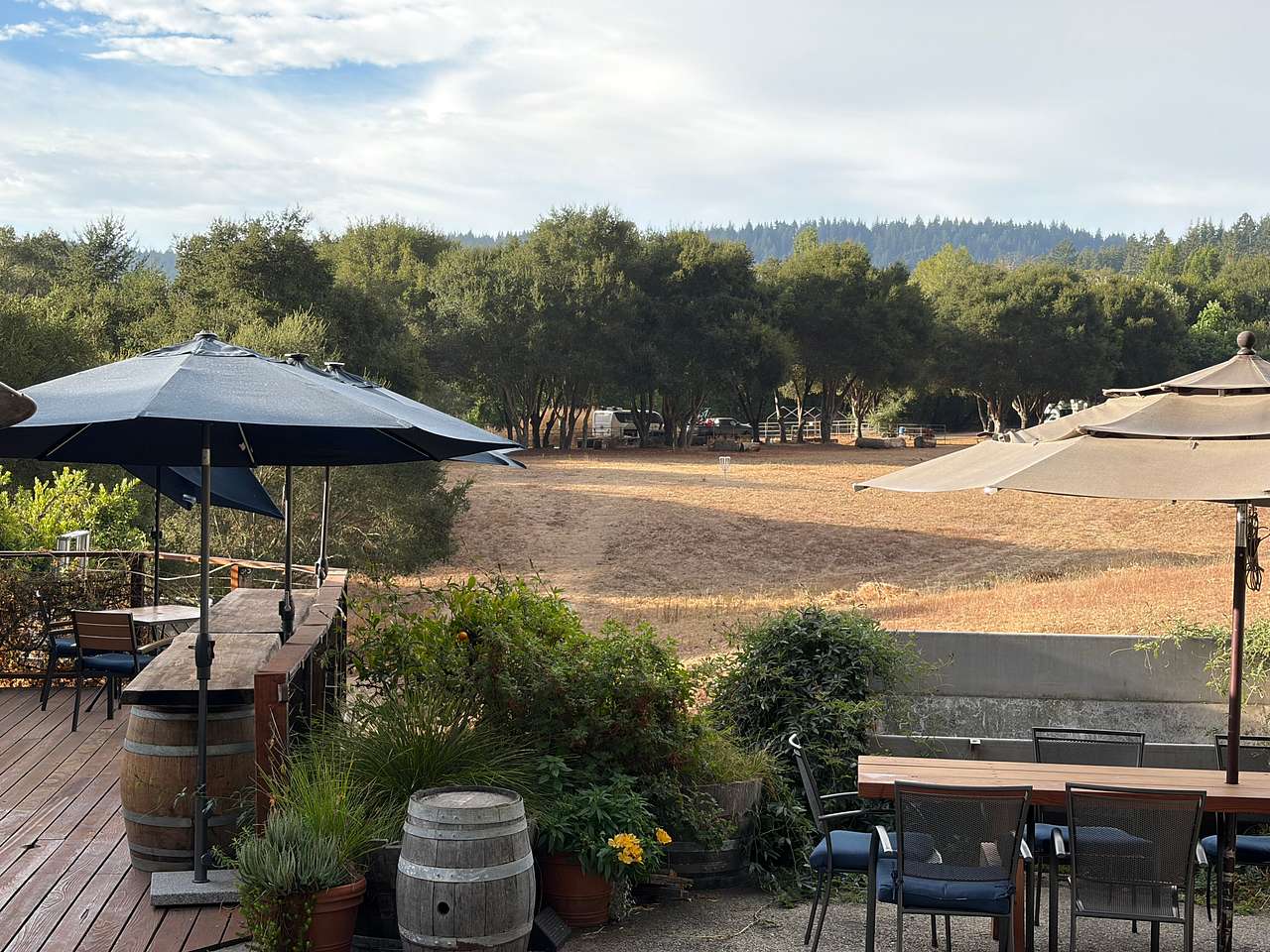 View from winery to corral