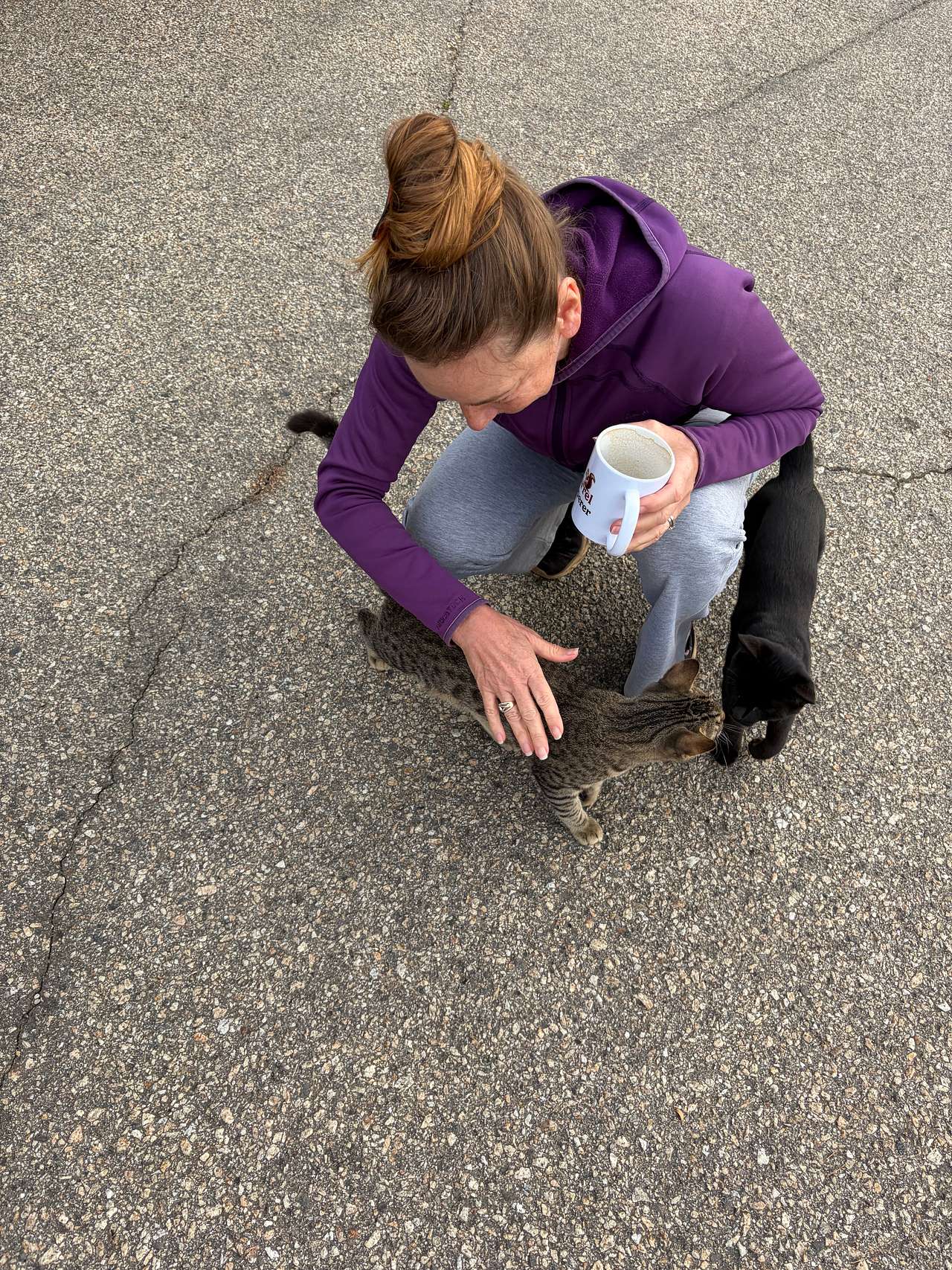 Kittens