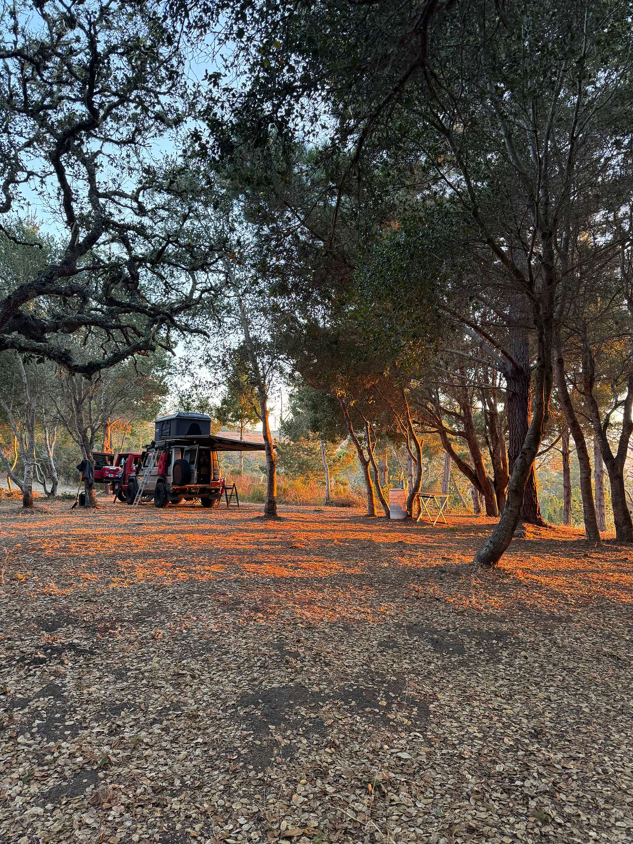 Bear Gulch Hide Out