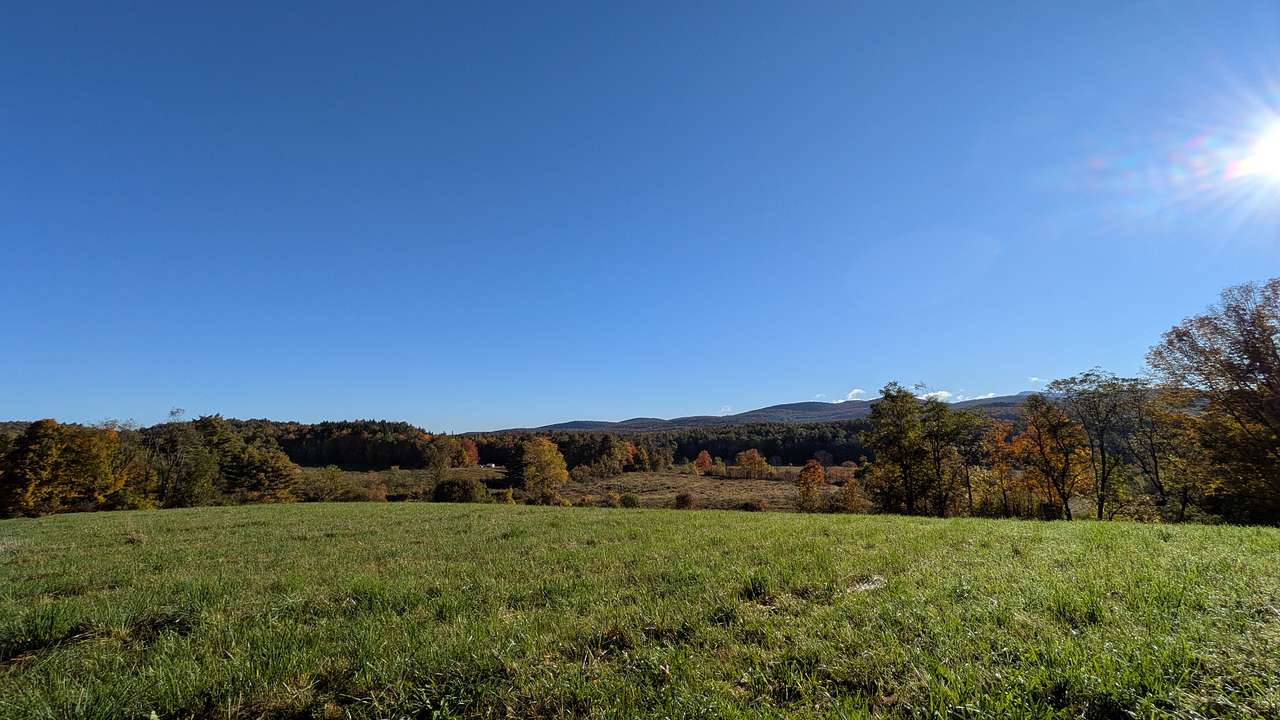 Harold's View Farm