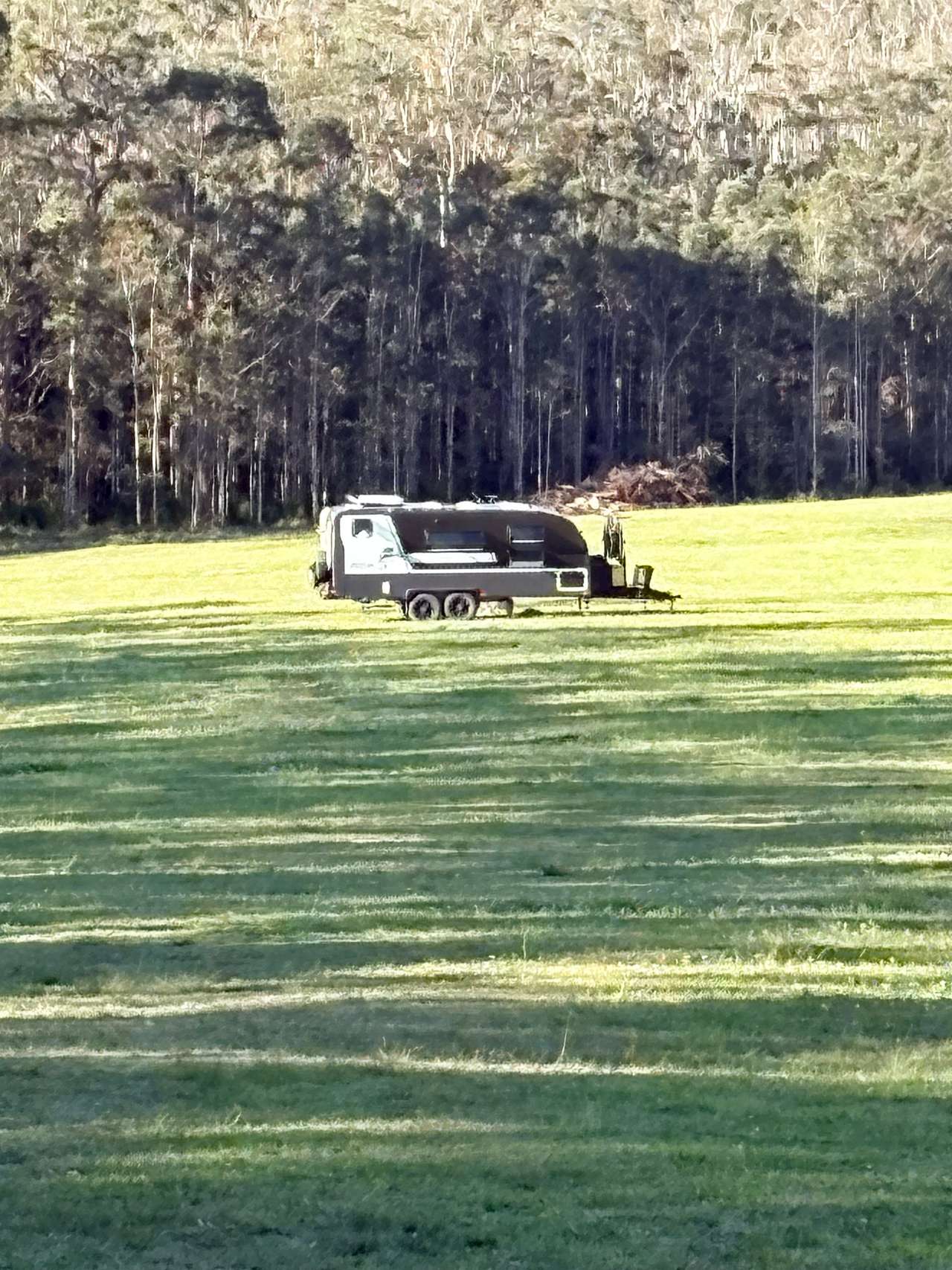 Wild Hope Farm