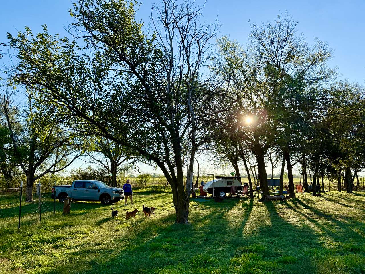 Our Little Grove