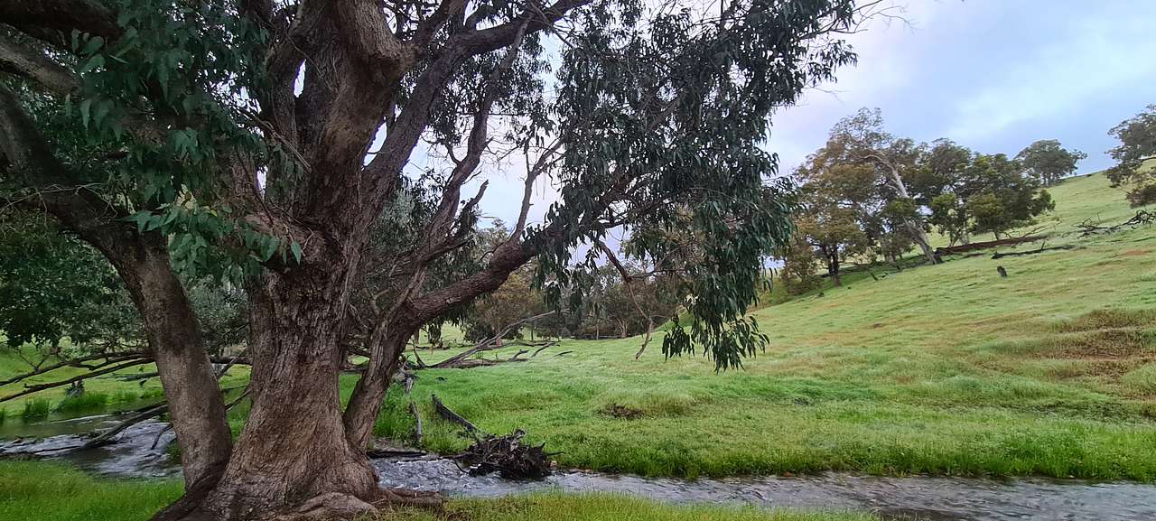 Bolinda Vale Farm