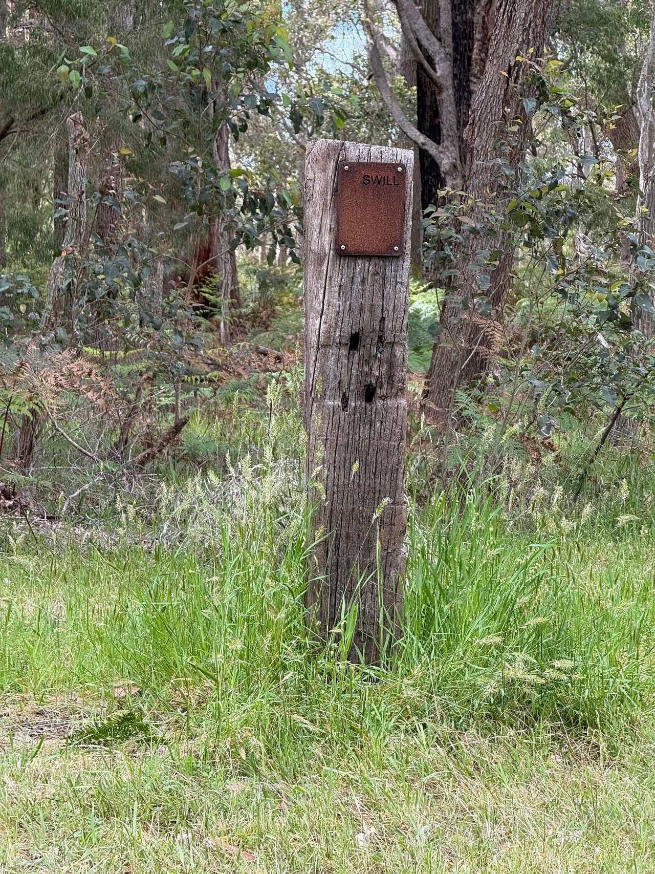 Margaret River - Rosa Glen Farm
