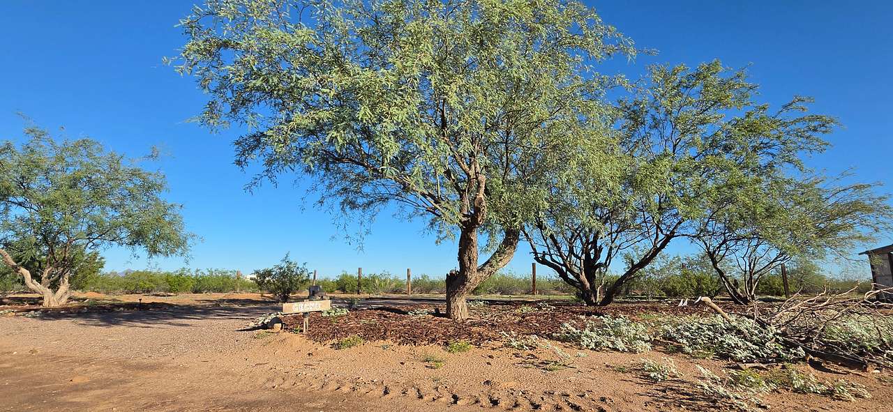 Mesquite Haven