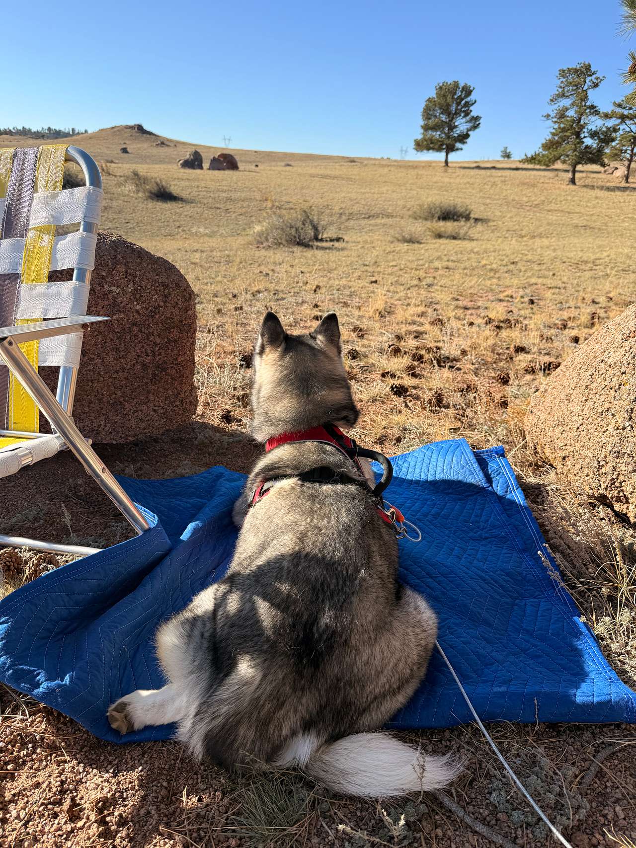 Camp Rendezvous