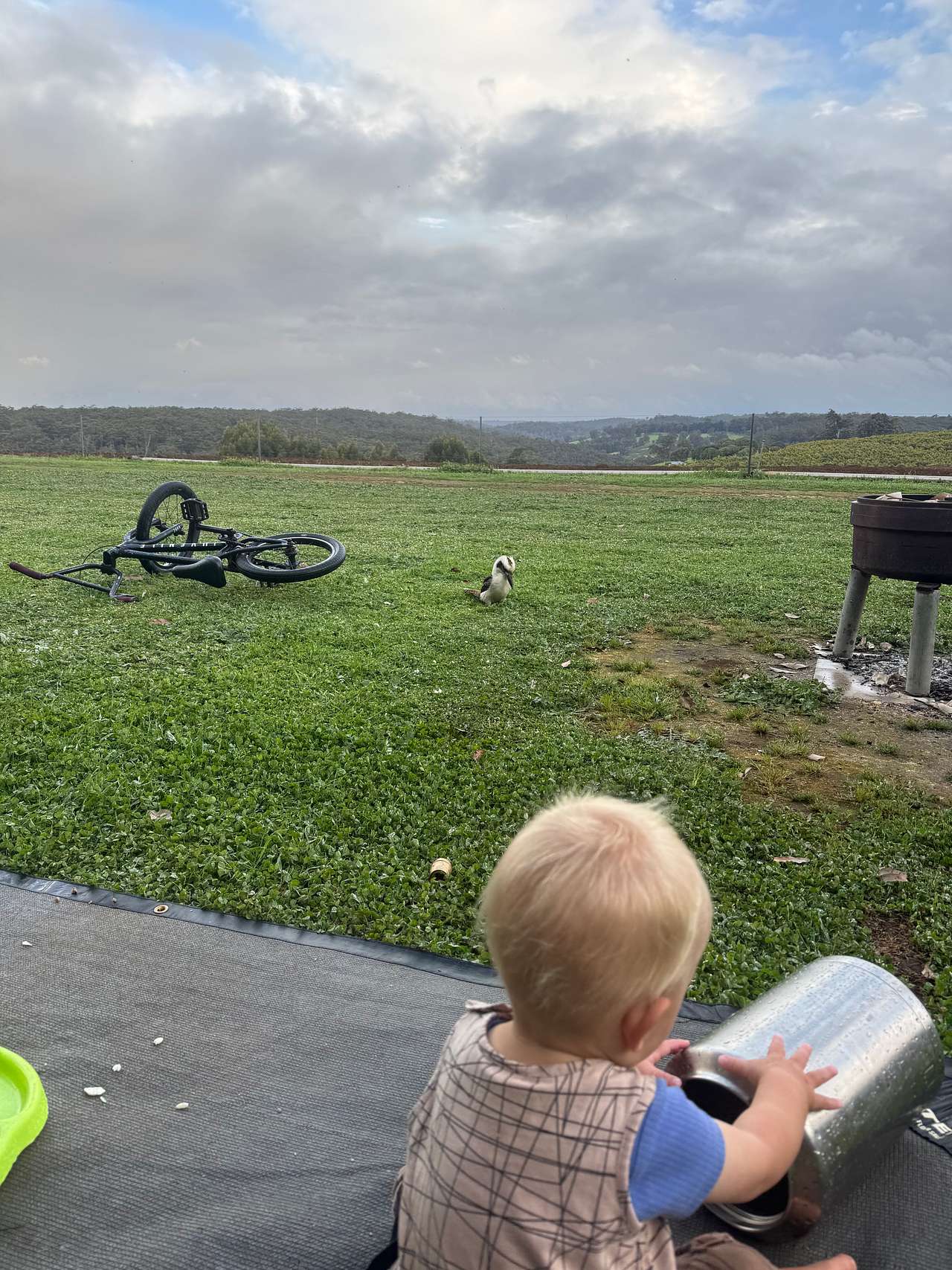 Fernbrook Farm Stay