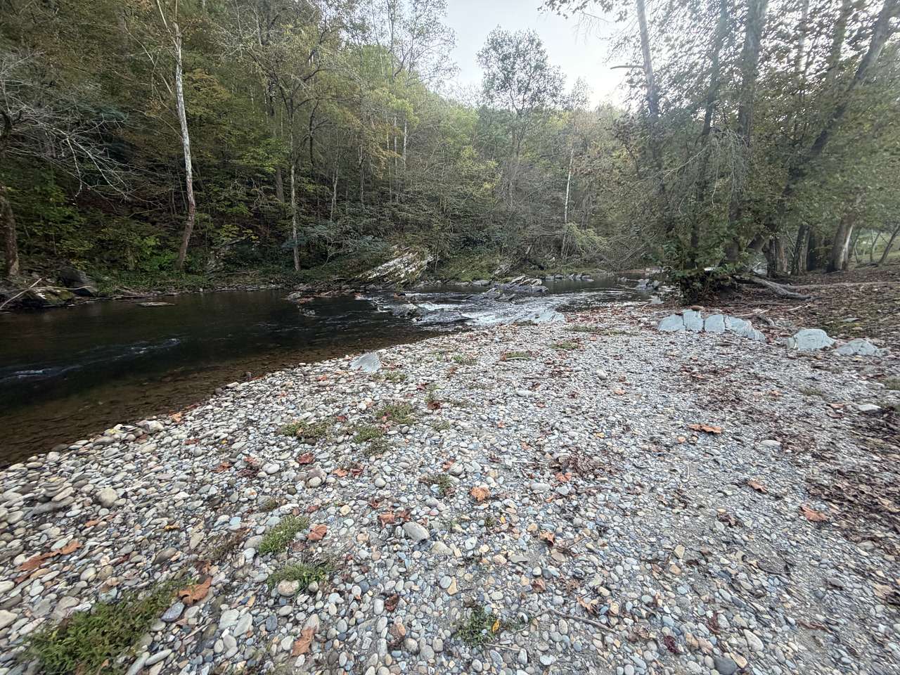 Ellis Cove