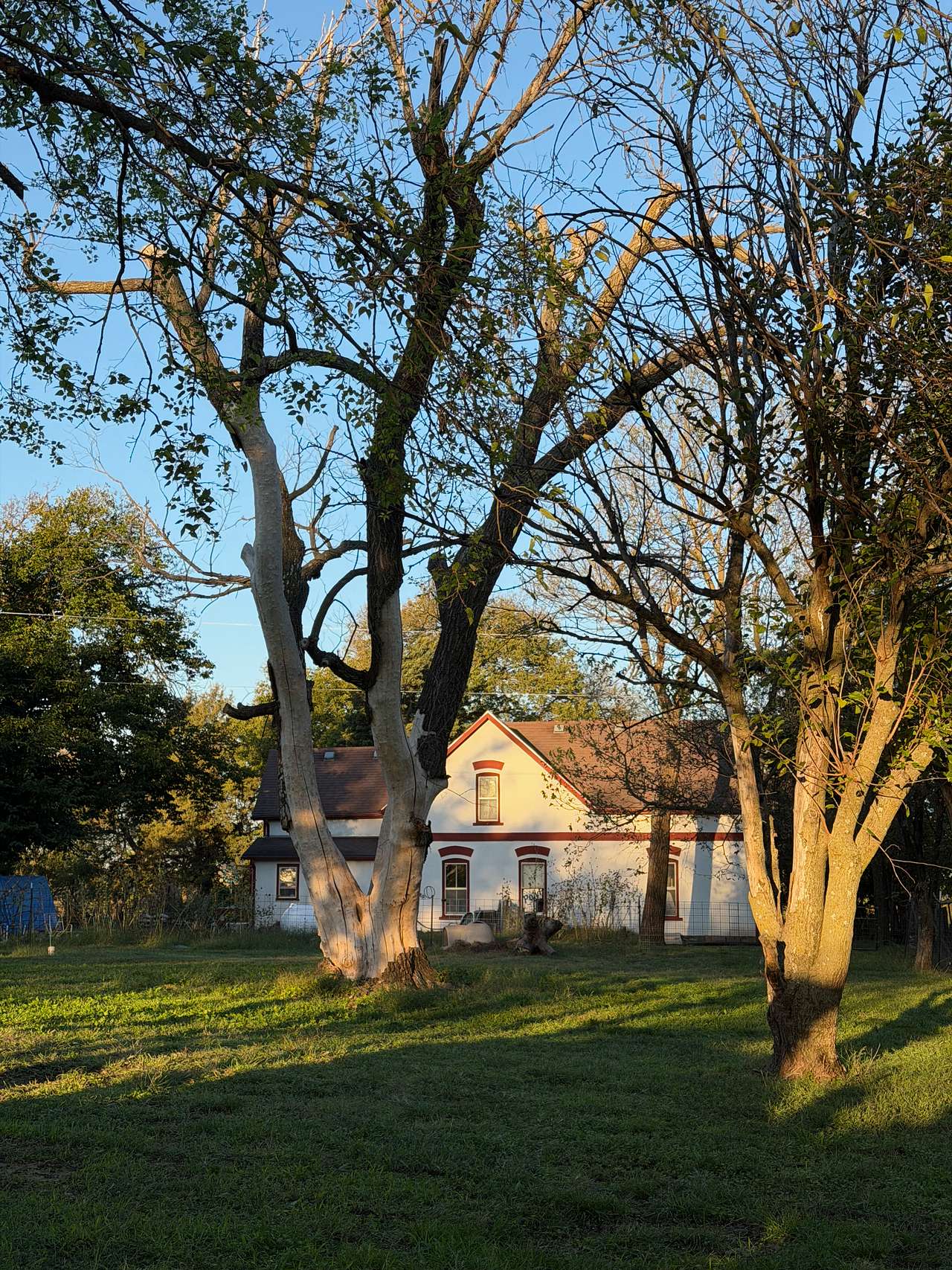Our Little Grove