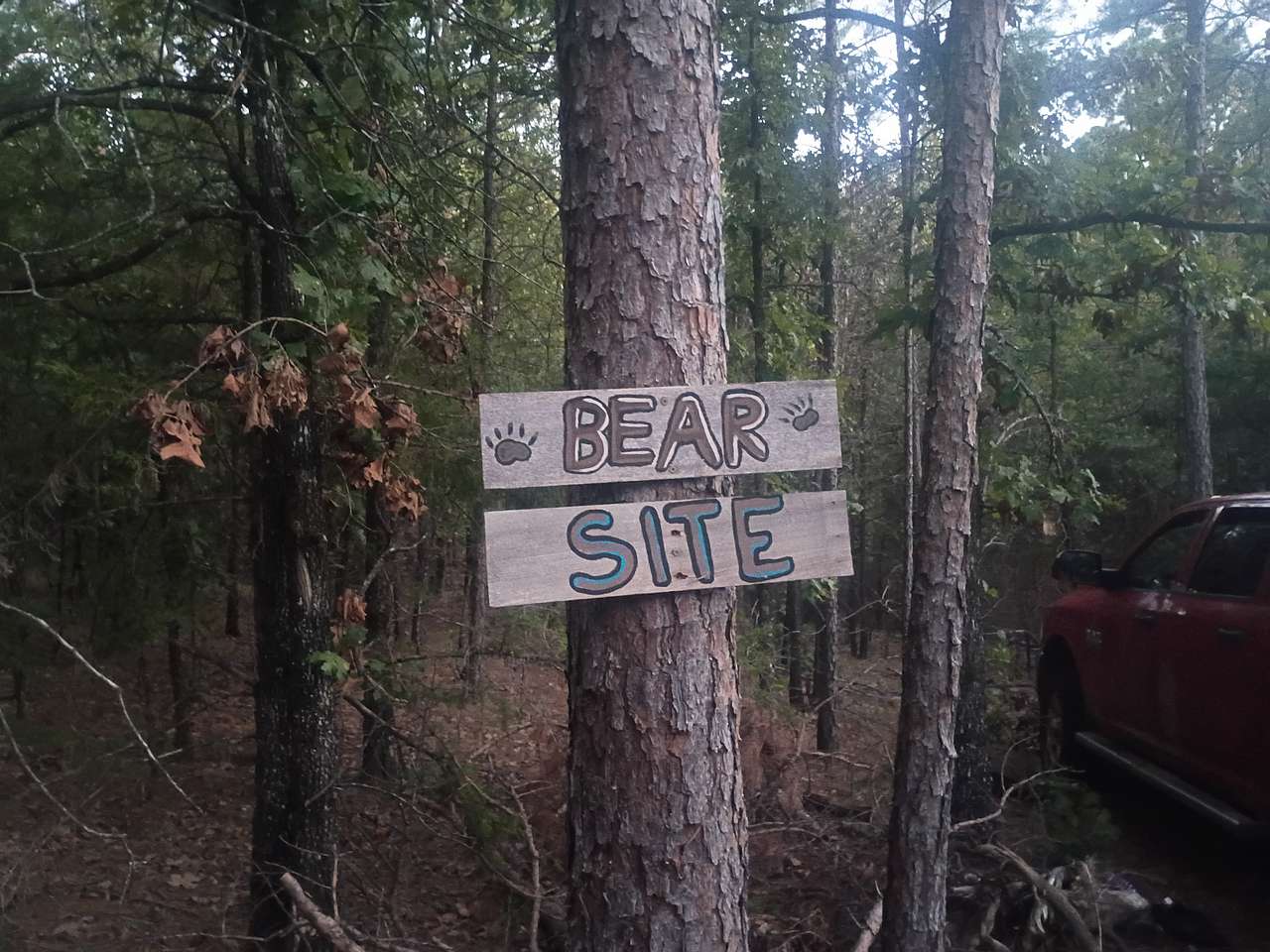 Picture of the site