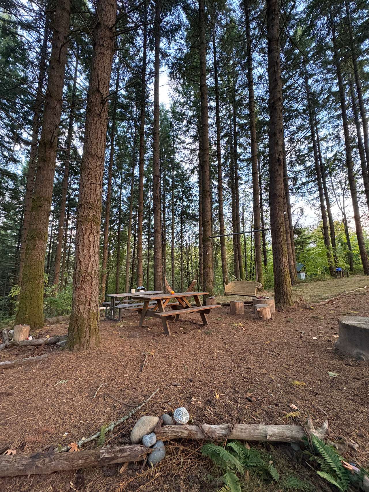 Akitaaru Forest Camp