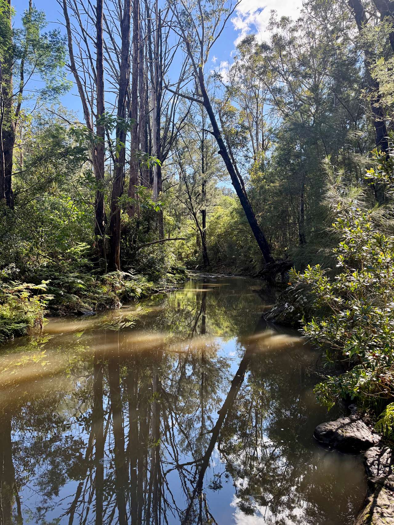 Wombat Hollow