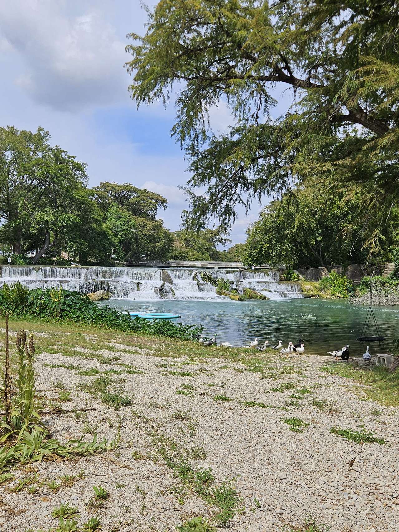 The Best Dam Spot
