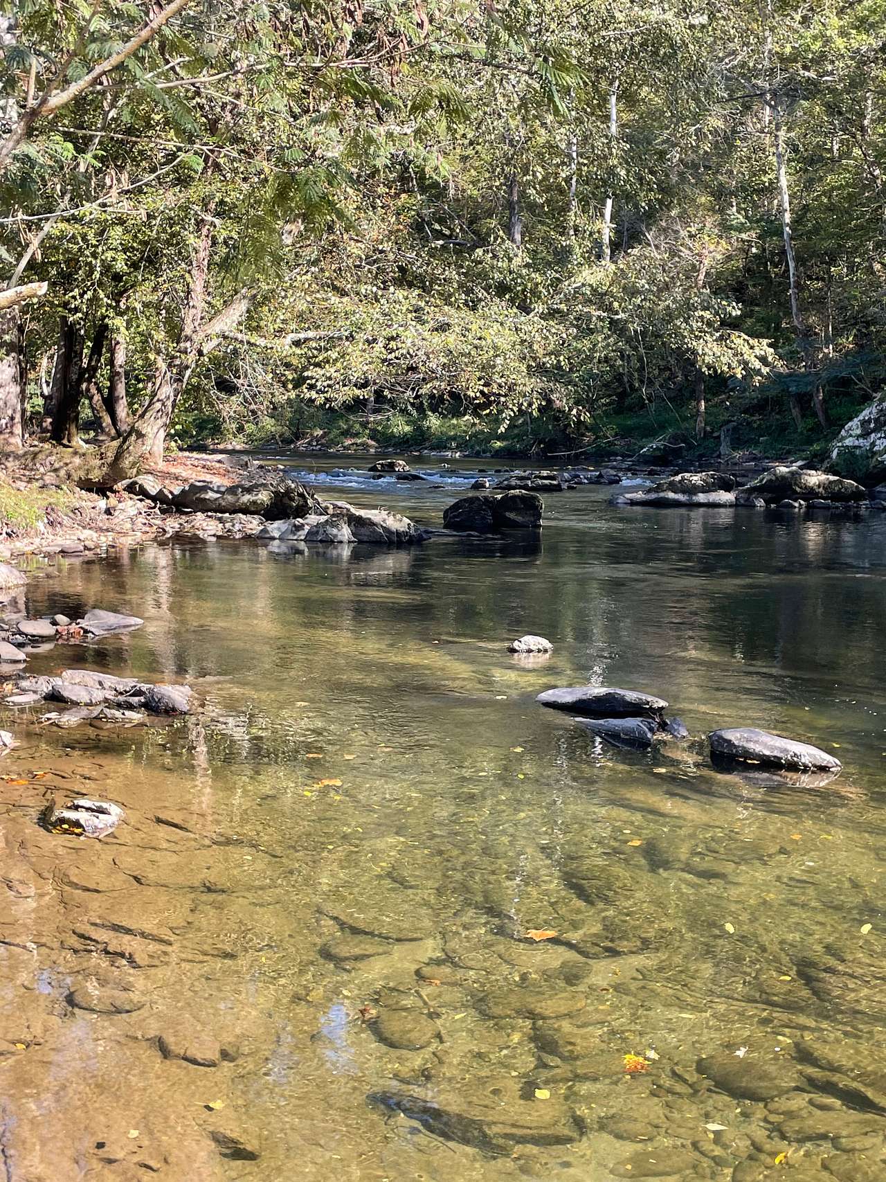 Ellis Cove