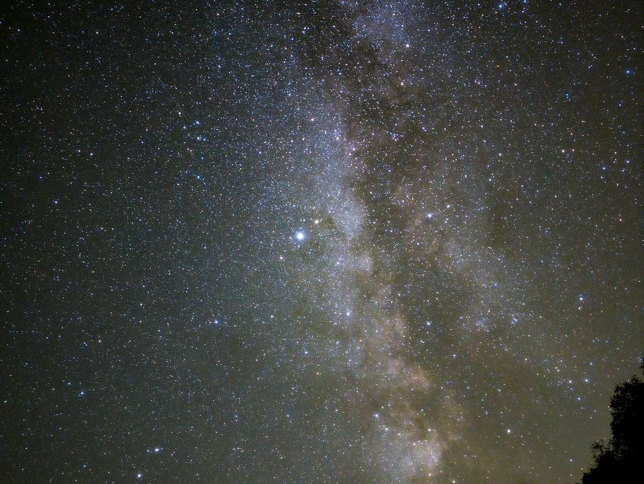 Right by camp #5 was the perfect spot for stargazing on a clear night & new moon!