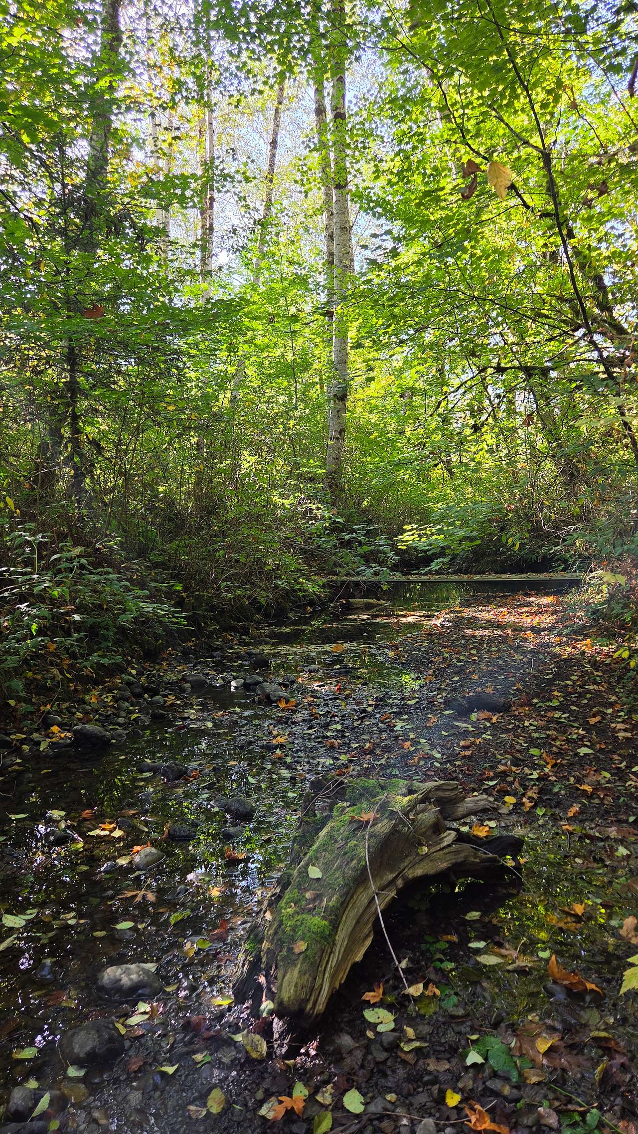 Tranquil Acres