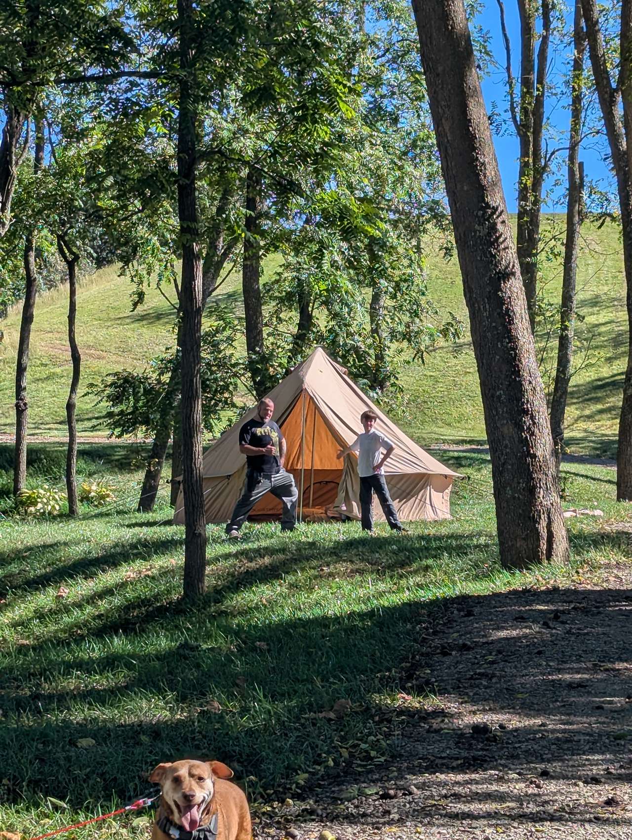 Smoky Mtn Mangalitsa River Ranch