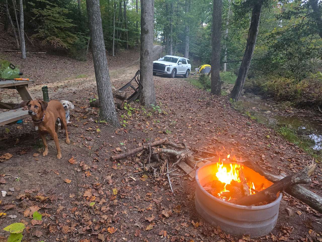 Creek Camp