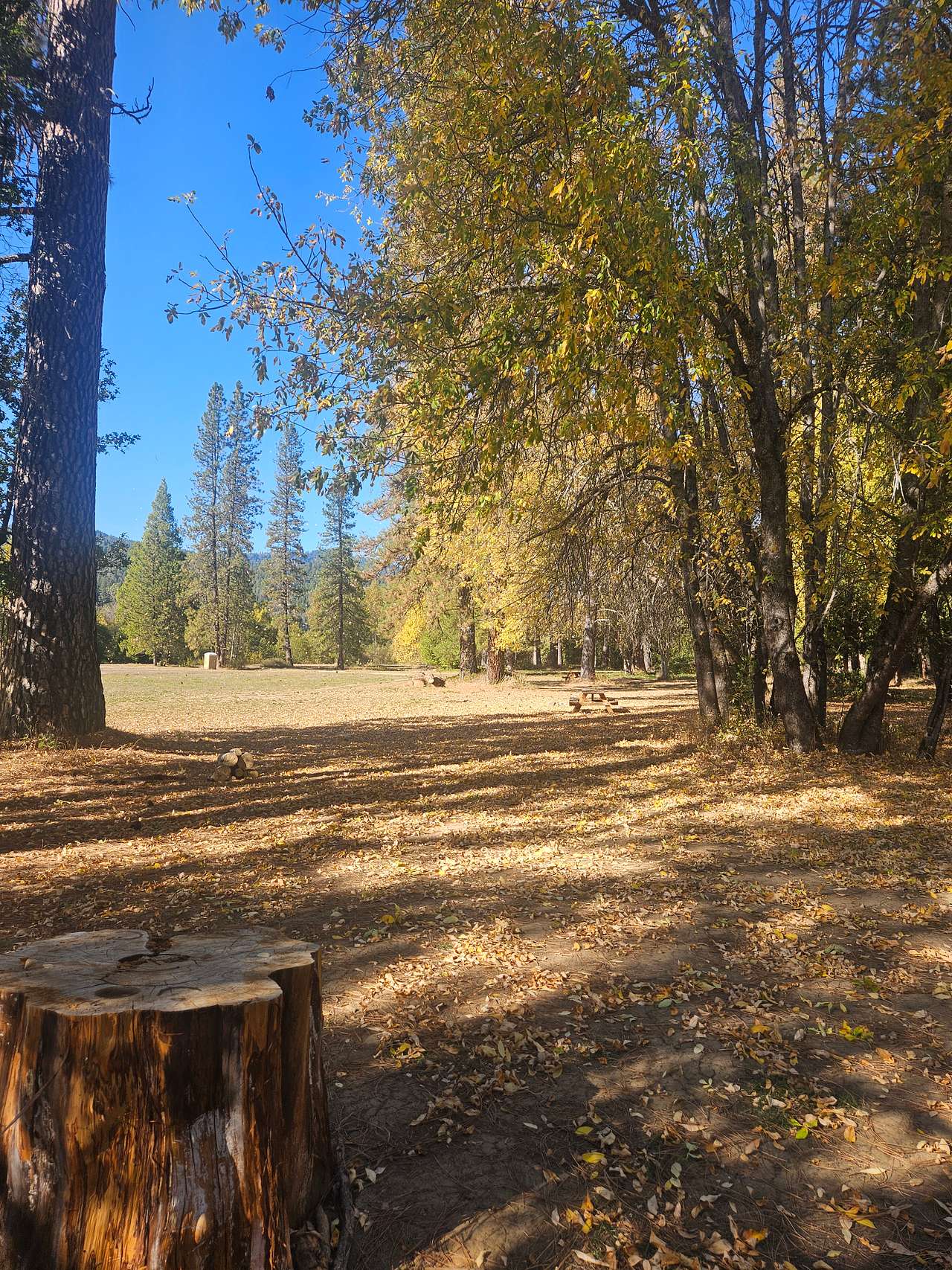 Kosk Creek Campgrounds
