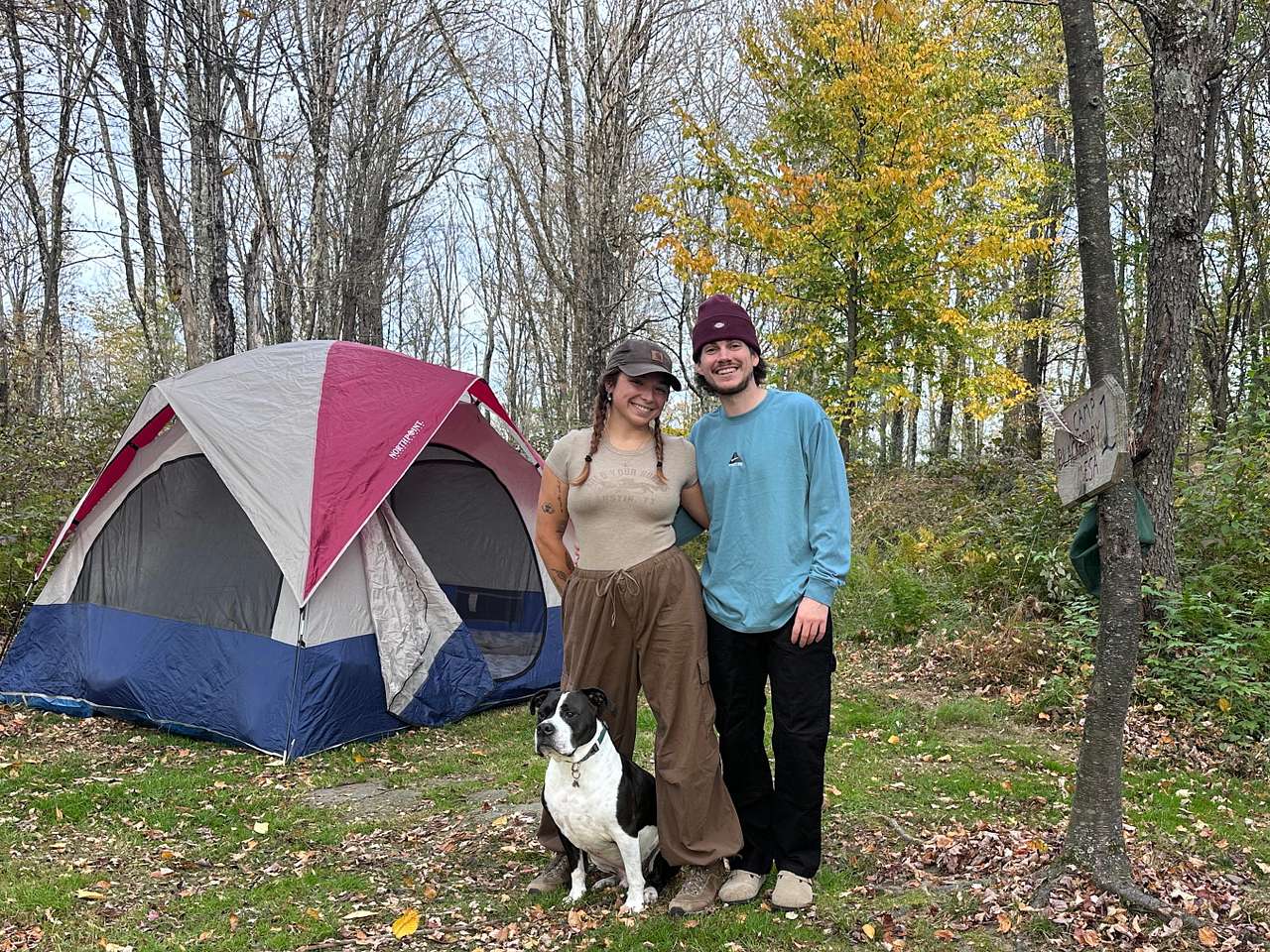 Quilted Woods + Ice Cream Shop!