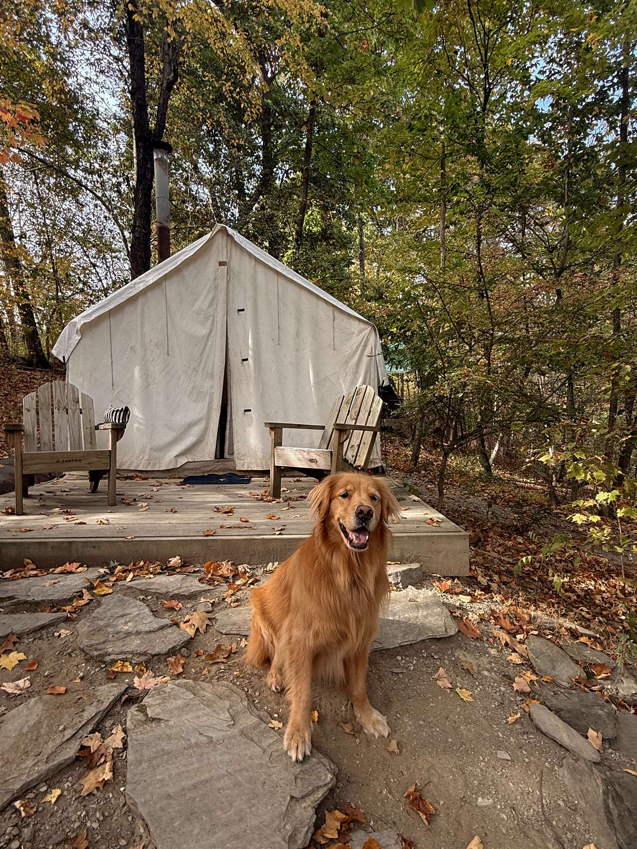 Hucklebuck Railway Campsites