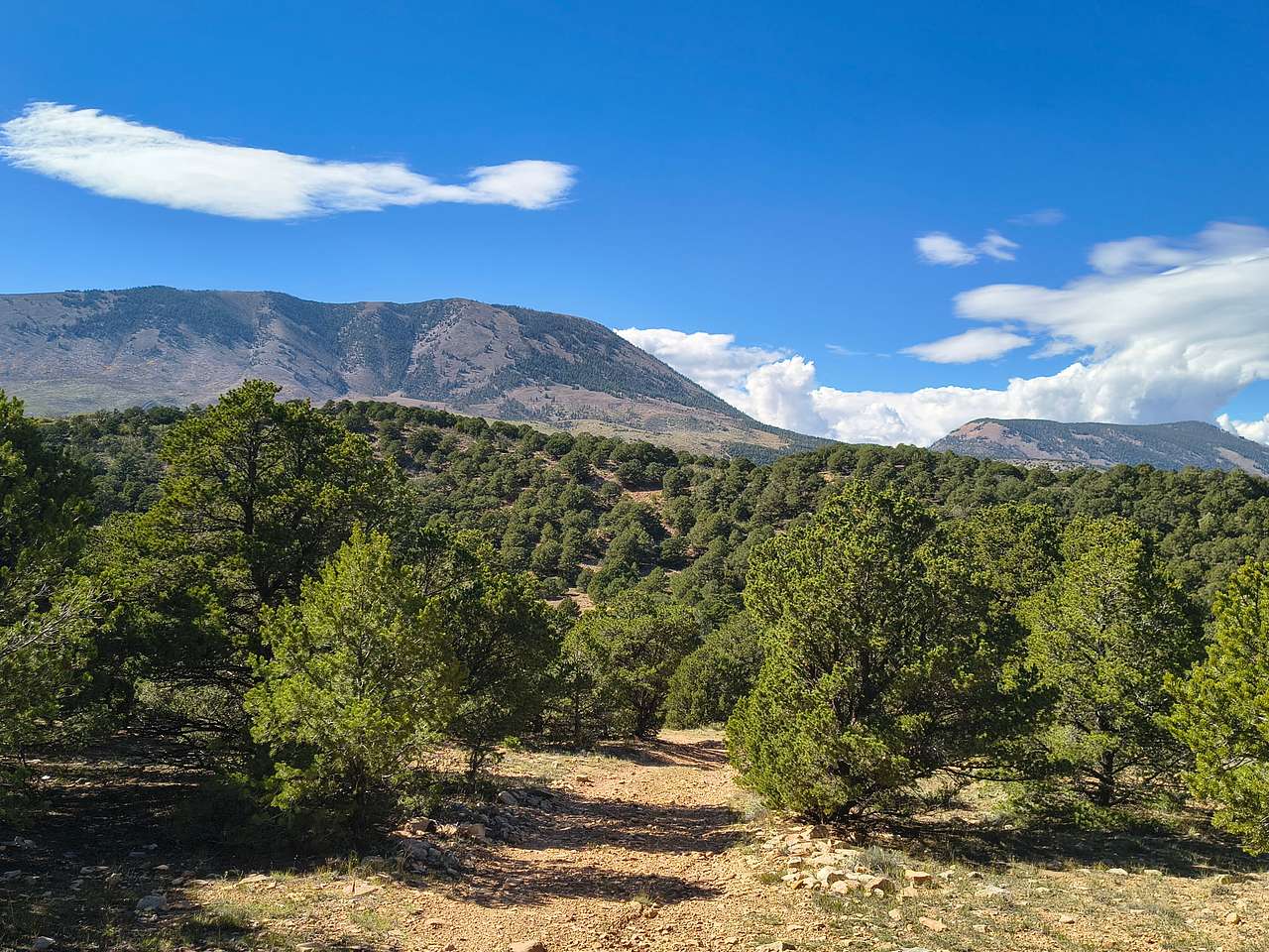 Secluded Mountain Property
