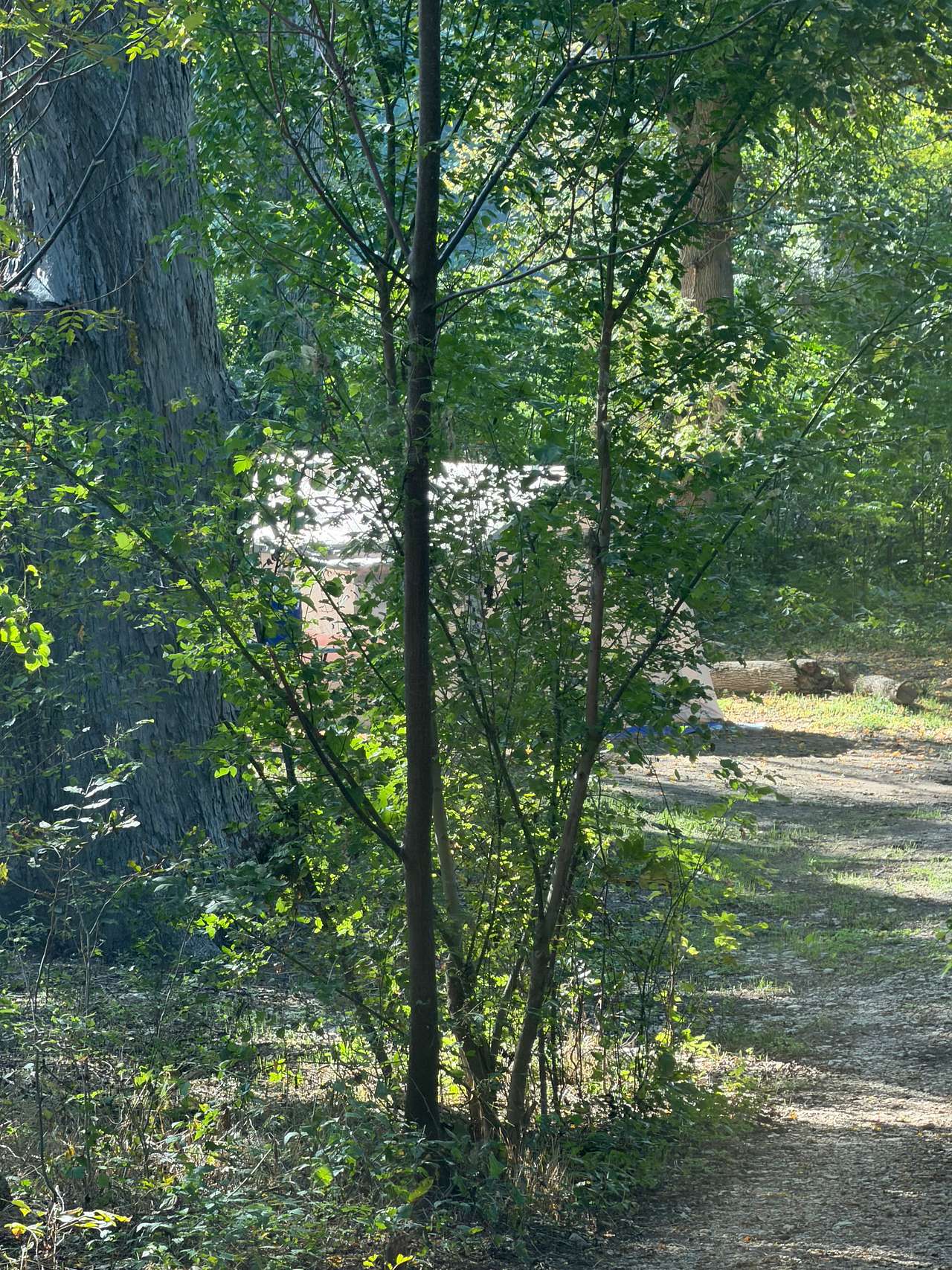 P² Farm | Scenic River Camping