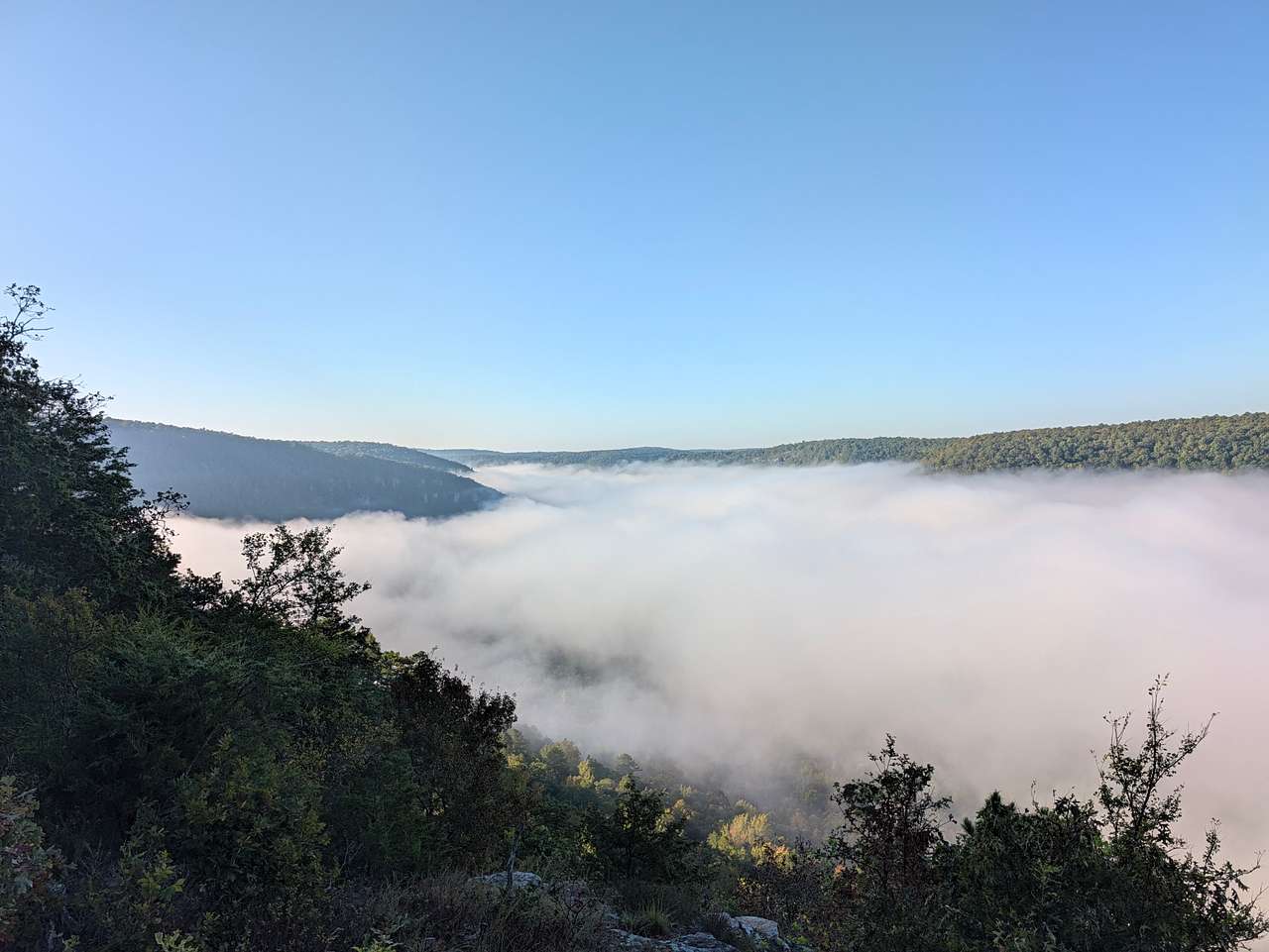 Harper Bluff & Numu Coffee Roastery