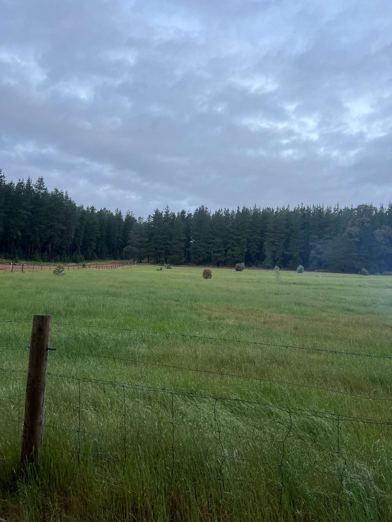 Shukuru Farm, Wellington Forest WA