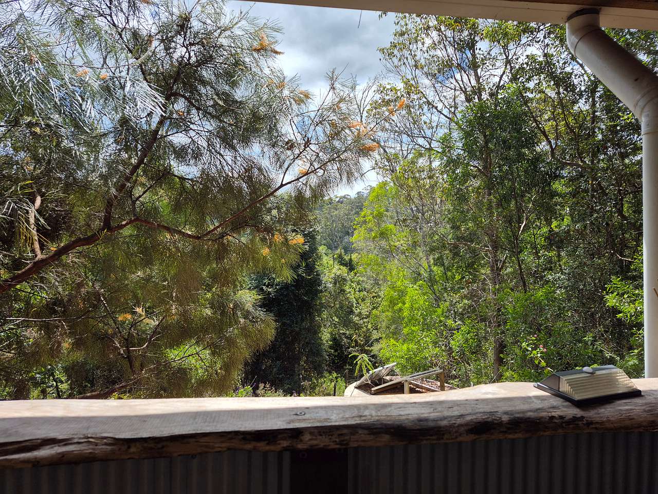 Sustainable Secluded Forestry Camp
